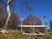 40 Rientro nel bosco annunciato da belle betulle al cancelletto 